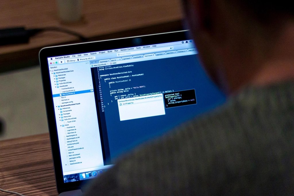 Lập trình viên tiếp nhận và kiểm tra mã nguồn website